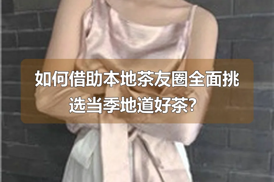 如何借助本地茶友圈全面挑选当季地道好茶?